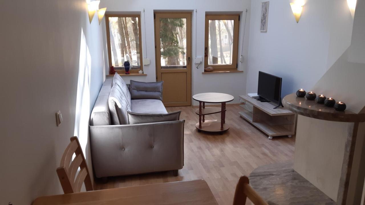 Ferienwohnung Kotedzas-Irena Nida Exterior foto